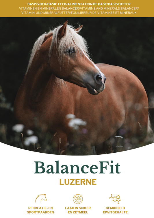 Graanvrije balancer voor paarden – Metazoa BalanceFit Luzerne rijk aan eiwitten en voedingsstoffen