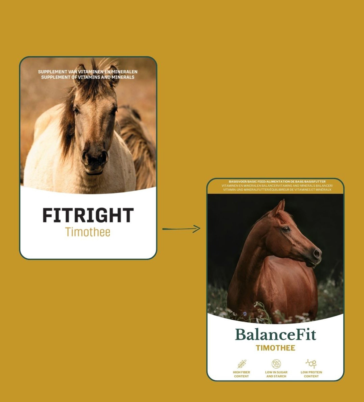 Metazoa BalanceFit Timothee – geschikt voor paarden met overgewicht of insulineresistentie