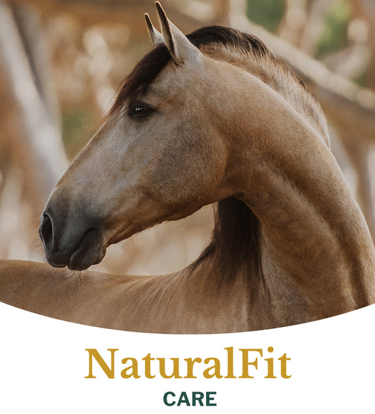 Natuurlijk supplement Metazoa NaturalFit Care met timotheegras als basis voor gezonde voeding bij paarden