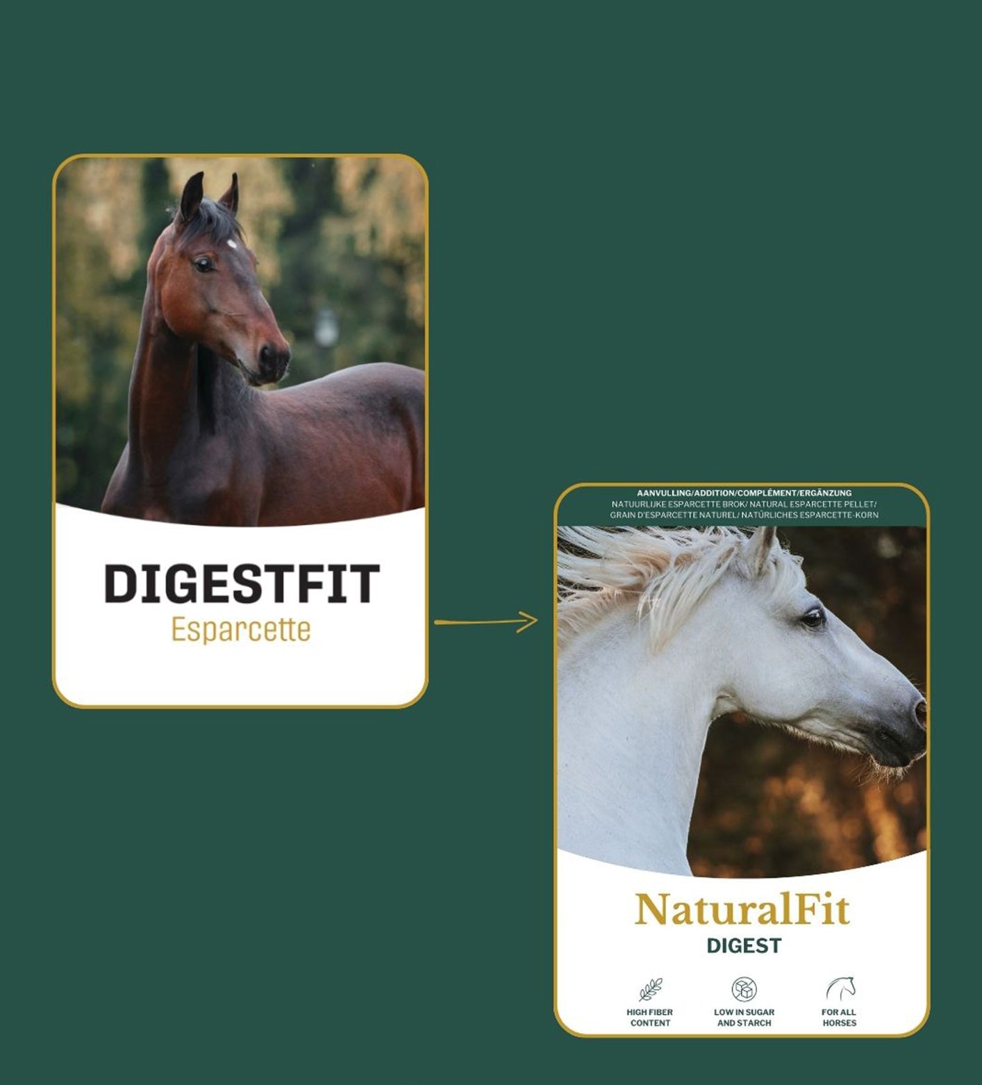 Esparcette in Metazoa NaturalFit Digest ondersteunt de darmgezondheid en spijsvertering van paarden