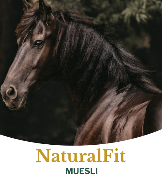 Natuurlijk vezelrijke Metazoa NaturalFit Muesli voor sport- en recreatiepaarden
