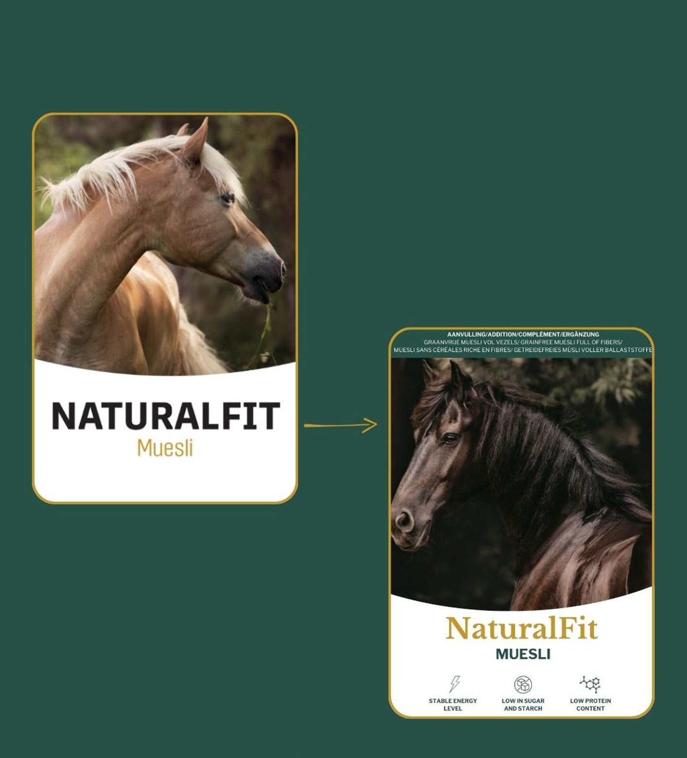 Hoogwaardige Metazoa NaturalFit Muesli voor gezonde spijsvertering en dagelijkse energie