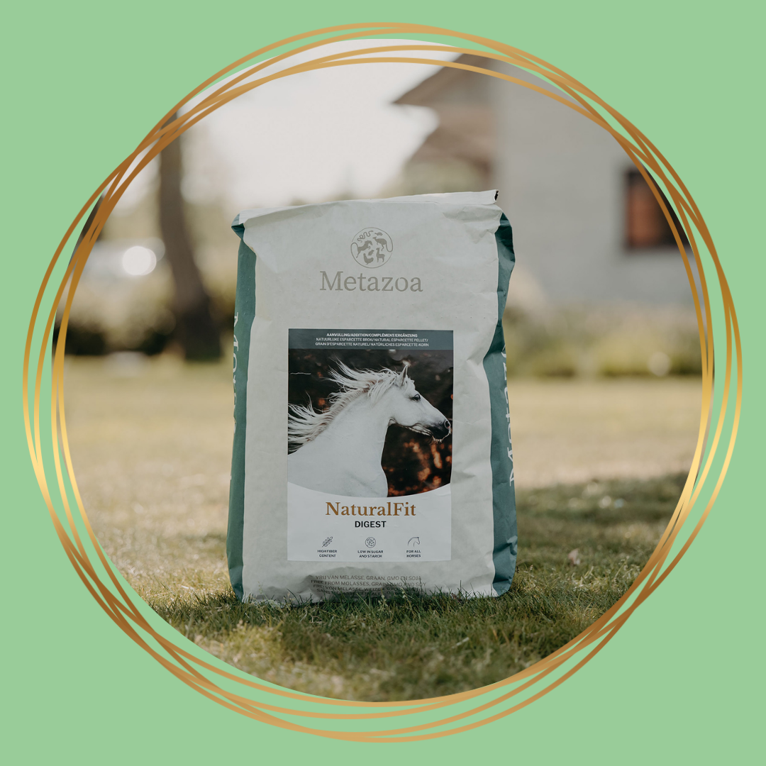 Metazoa NaturalFit Digest met esparcette voor paarden ter ondersteuning van spijsvertering en darmgezondheid