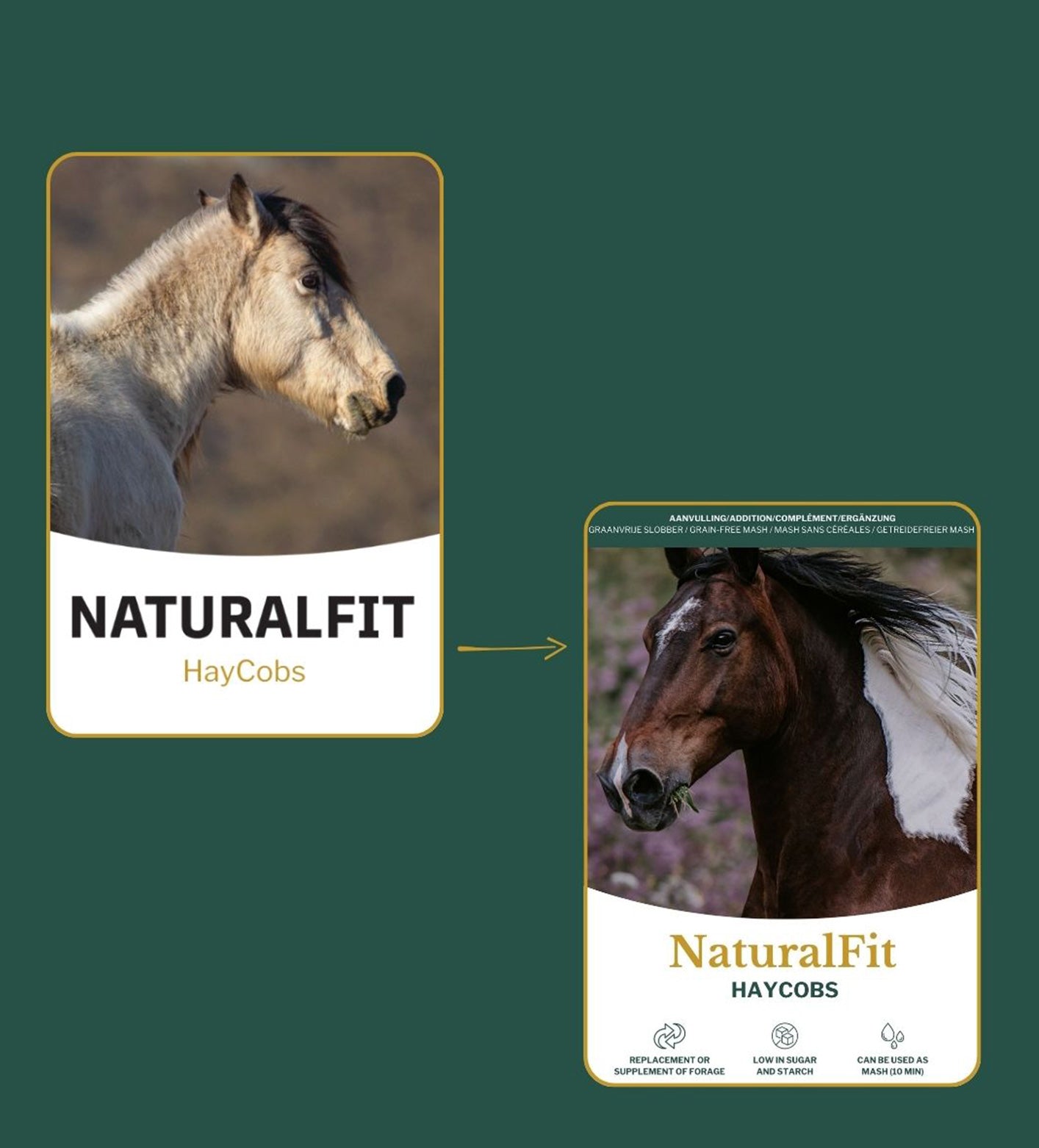 Vezelrijke Metazoa NaturalFit Haycobs met timothee ondersteunen gezonde spijsvertering bij paarden