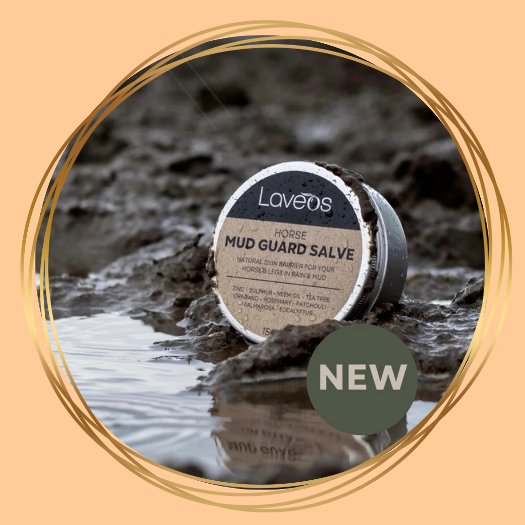 Laveos | Mud Guard Salve