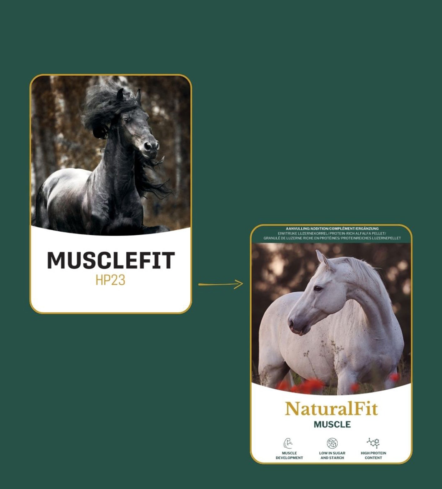 Hoogwaardig supplement Metazoa NaturalFit Muscle voor sport- en recreatiepaarden