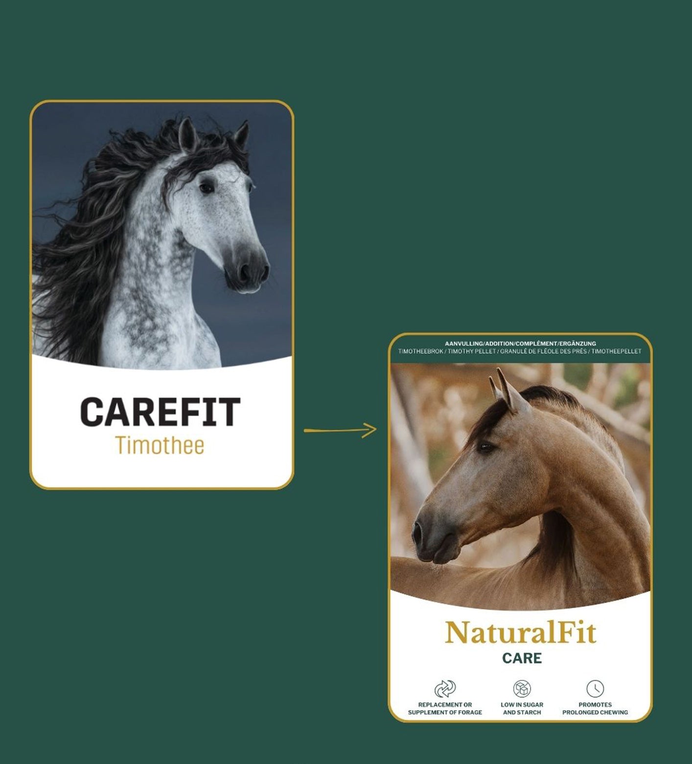 Hoogwaardig paardensupplement Metazoa NaturalFit Care met timotheegras voor dagelijks onderhoud
