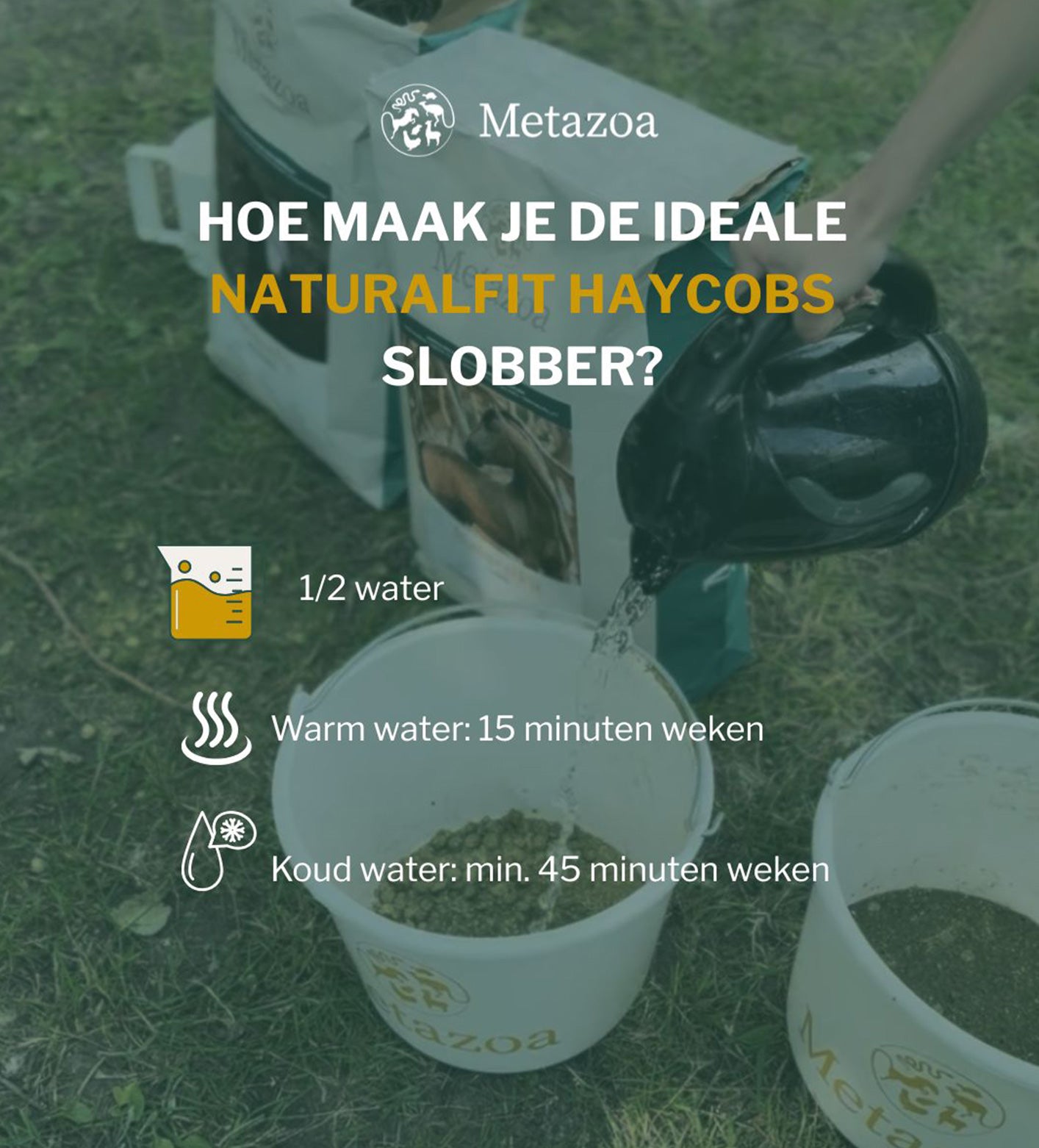 Hoogwaardige Metazoa NaturalFit Haycobs met timotheegras voor dagelijks paardenonderhoud