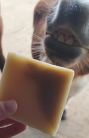 Paardenzorg Sensitive Soapbar, milde verzorgingszeep speciaal voor de gevoelige huid van paarden en honden