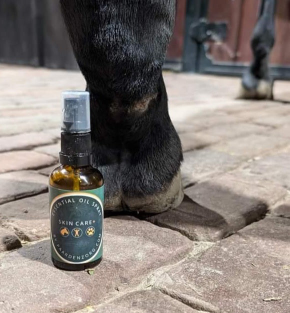 Paardenzorg Skin Care+ Spray, verzorgende spray voor paarden ter ondersteuning van een gezonde huid en vacht