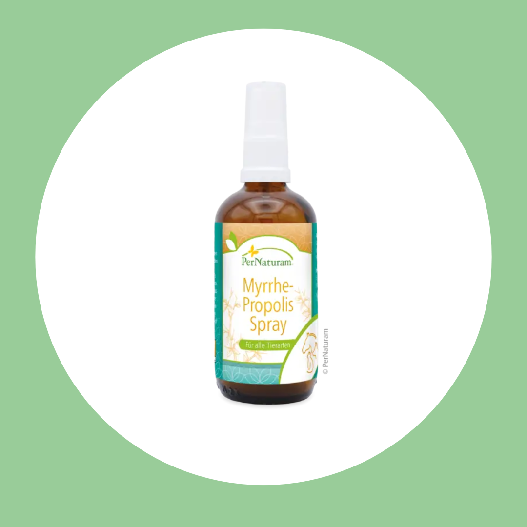 Pernaturam Mirre Propolis Spray voor paarden, natuurlijke spray met mirre en propolis voor het bevorderen van gezonde huid en vacht, ideaal voor verzorging van paarden na een inspanning.