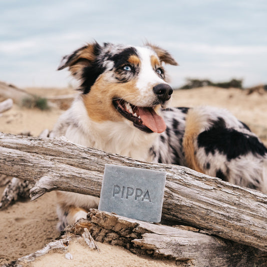 PIPPA Hondenshampoo Charcoal & Peppermint