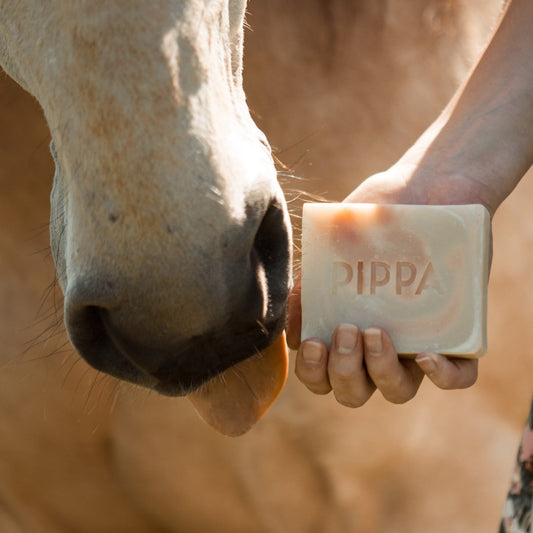 PIPPA Paardenshampoo Rosemary & Rice