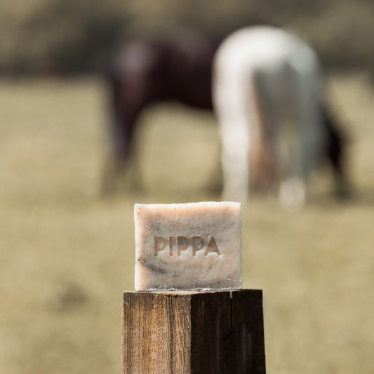 PIPPA Paardenshampoo Tea Tree & Eucalyptus