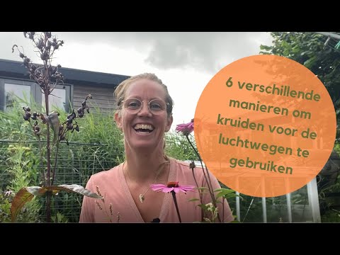 Fenegriek Mix van De Groene Os – kruidenmengsel ter ondersteuning van spijsvertering en weerstand bij paarden