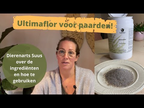 Ultimaflor van De Groene Os – natuurlijk probioticum ter ondersteuning van een gezonde darmflora bij paarden