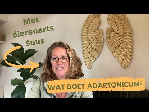 Adaptonicum van De Groene Os – natuurlijk kruidencomplex ter ondersteuning van stressweerstand en herstel bij paarden