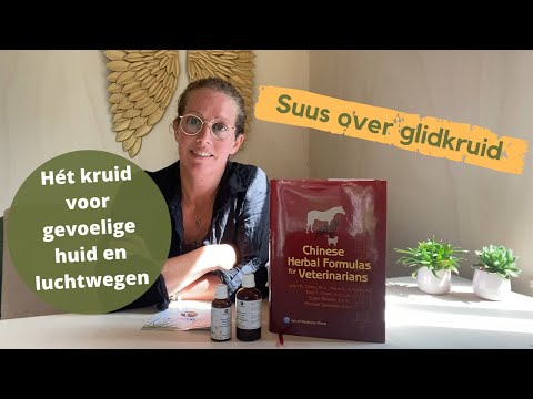 Scutellaria Tinctuur van De Groene Os – natuurlijk kruidenextract voor ontspanning en ondersteuning van het immuunsysteem bij paarden