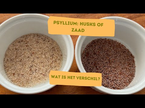 Psyllium Husk van De Groene Os – natuurlijk vezelrijk supplement voor een gezonde darmwerking en ondersteuning bij paarden