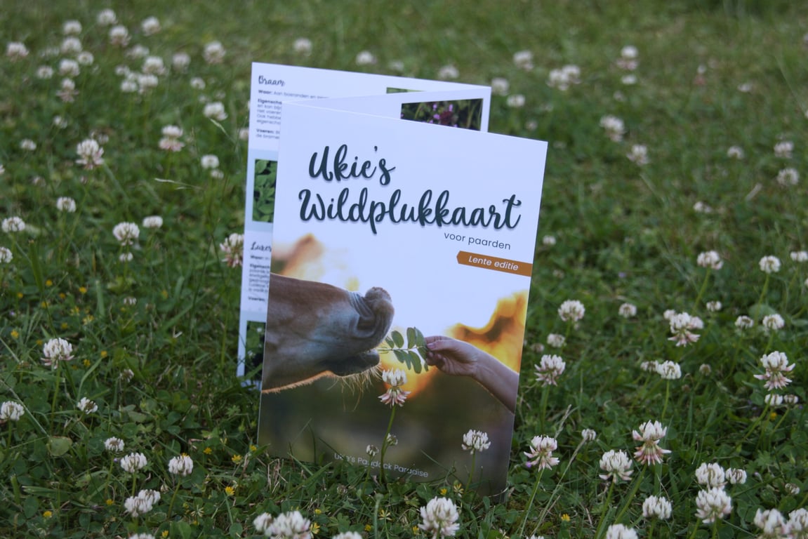 Ukie’s Wildplukkaart Lente met eetbare kruiden en bloemen voor paarden in het voorjaar