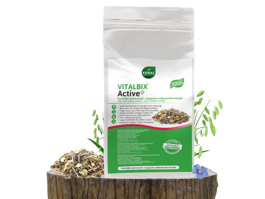 Vitalbix Active+ Muesli – energierijke muesli voor actieve en sportpaarden