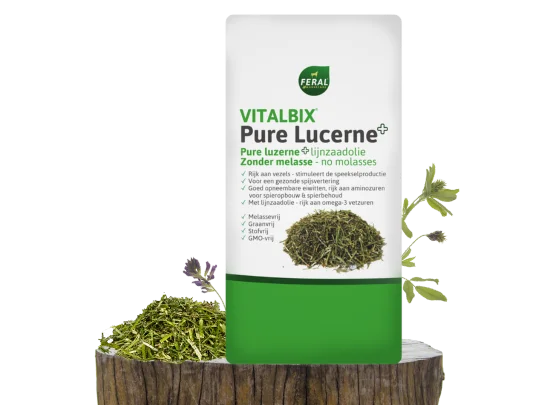 Vitalbix Pure Lucerne+ – luzernerijke ruwvoermix voor extra eiwit, structuur en kauwactiviteit bij paarden