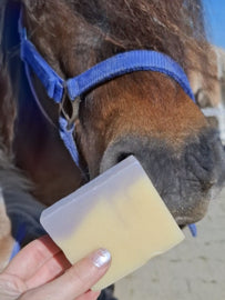Zomer Soapbar voor paarden en honden – natuurlijke zeep tegen vliegen, dazen en jeuk, met paarse klei en citroengras