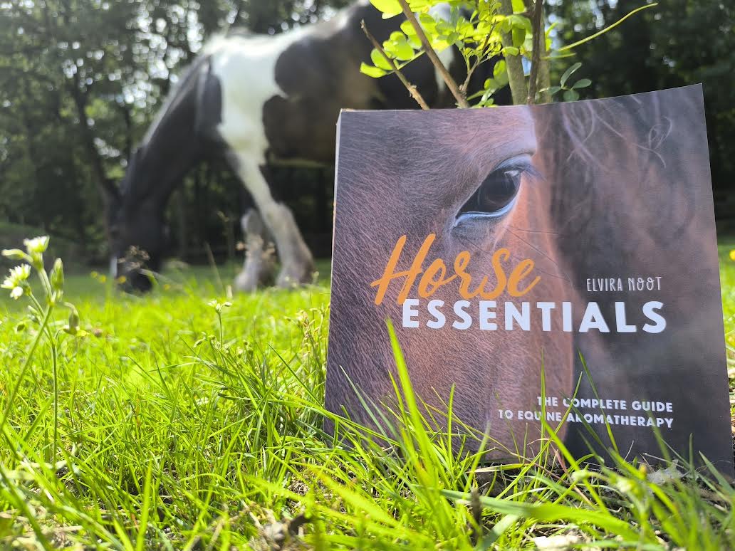 Elvira Noot | Horse Essentials
