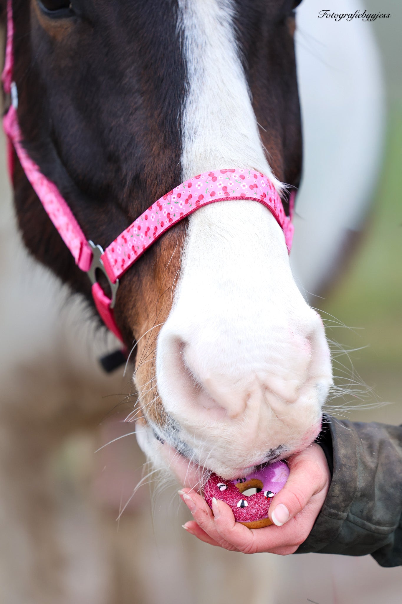 Happy Halsters - Fuchsia kersjes halster