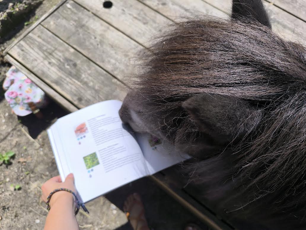 Elvira Noot | Horse Essentials
