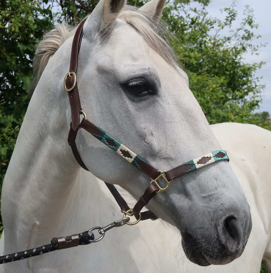 FMH - Havana lederen polo halster ‘Polo Vaquero Seafoam’ emerald/beige