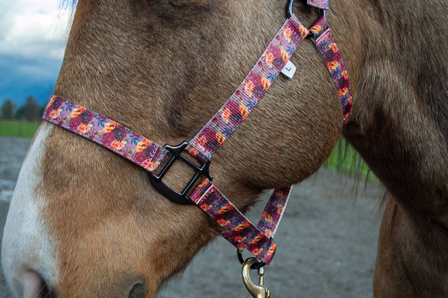 Schulz Equine - Halster Flower Bouquet