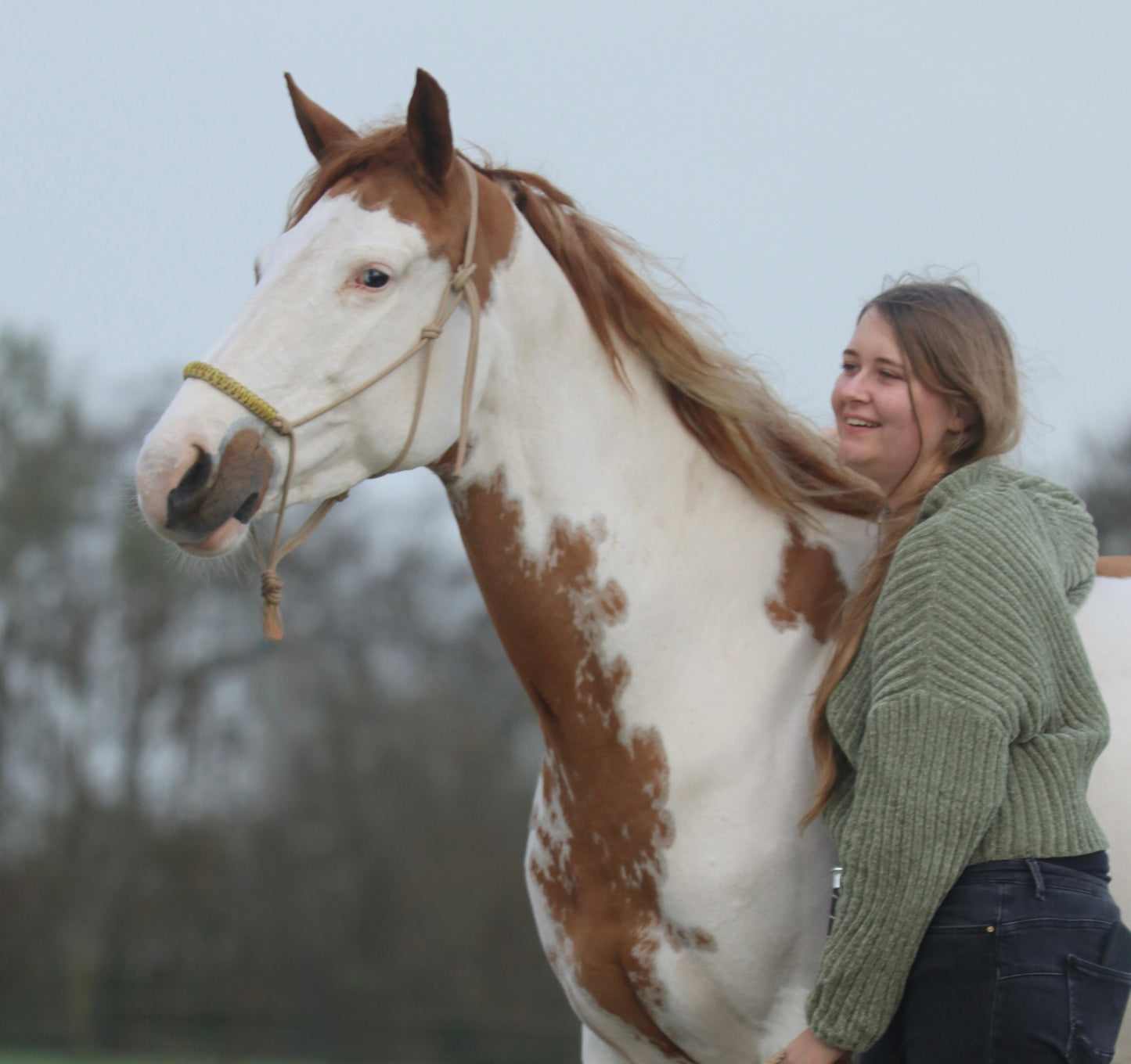 Het Paardenatelier - Touwhalsterset touwhalster Azar met halstertouw 2m beige met geel