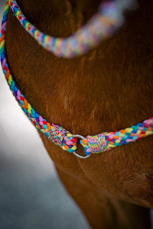 Het Paardenatelier - Neckrope ‘Rainbow’