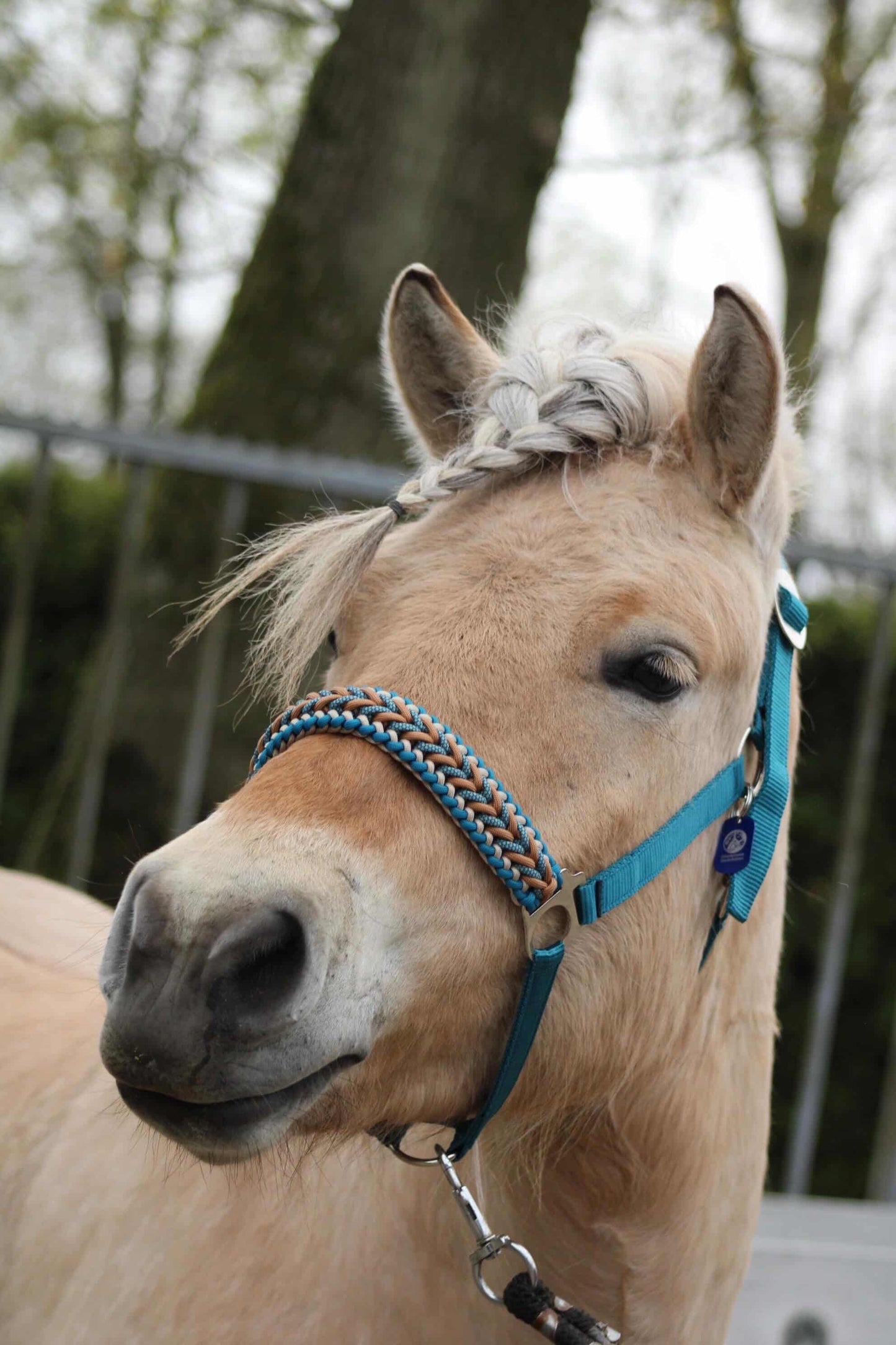 Handgemaakte paardenhalsters - Geknoopt halster ‘Teal Treasure’ emerald/teal/caramel