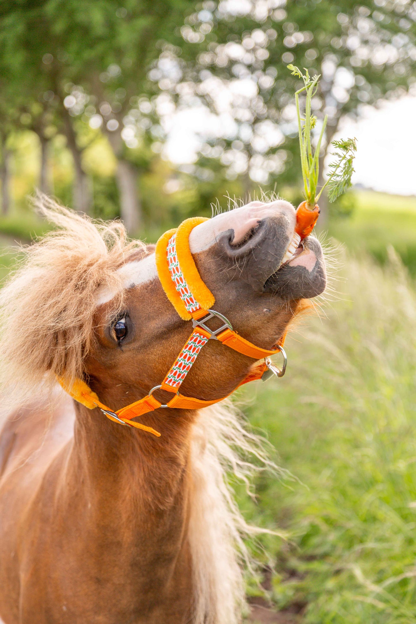 Happy Halsters - Oranje wortel halster (bont)
