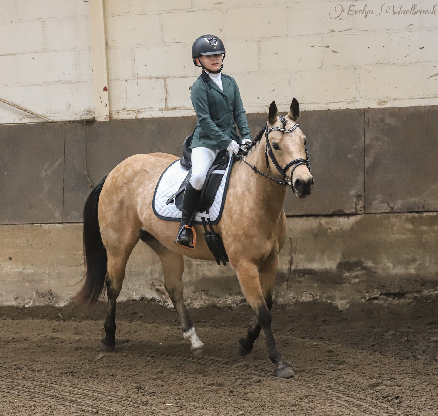 Moeders Mooiste Frontriemen - Deluxe “Bo’s Lucky Browband” Z/H-N/D