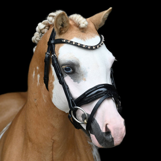 HB - Hoofdstel Showtime 366 Special A-PONY Evalira incl. teugels (div. kleuren)