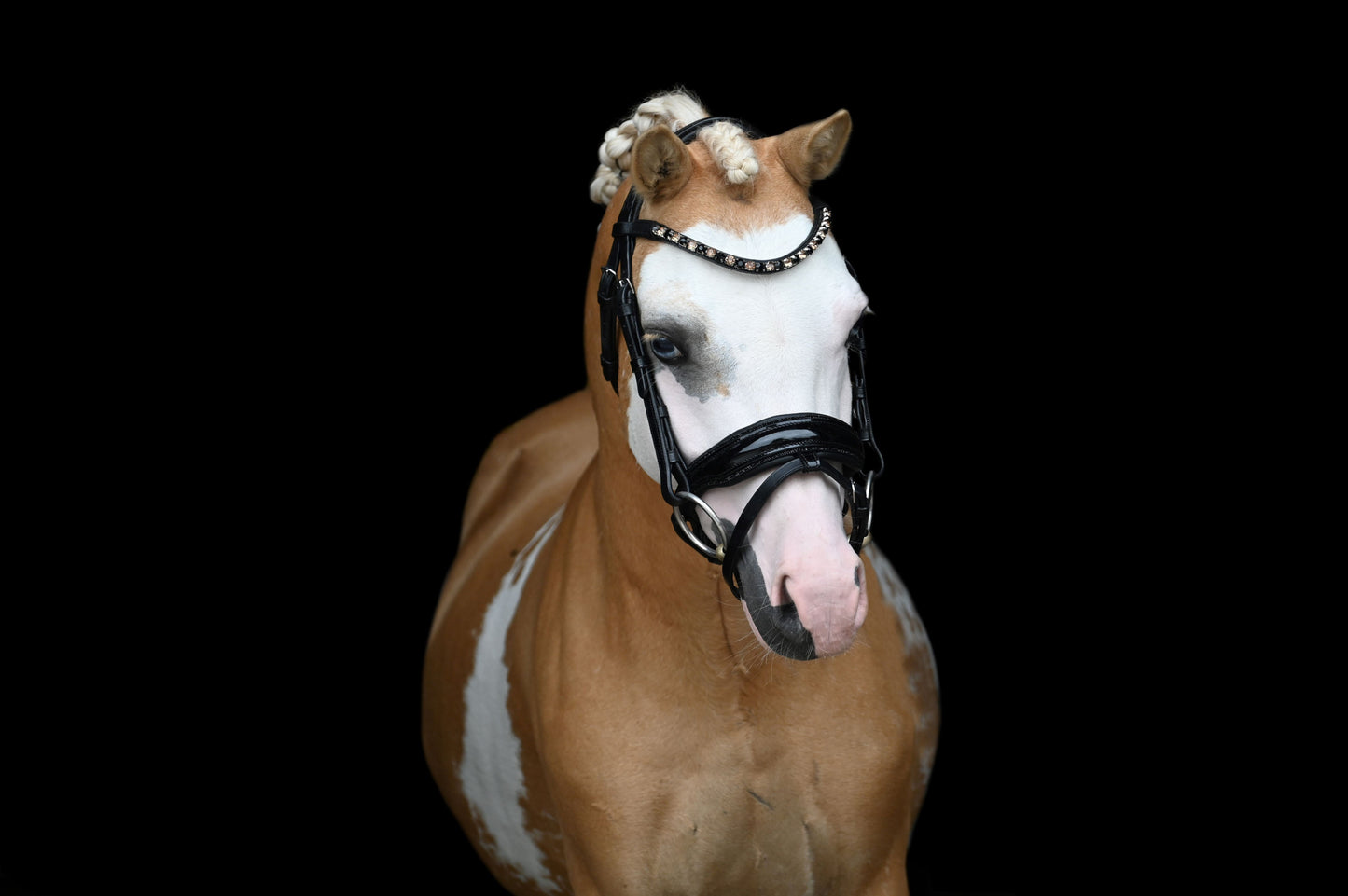 HB - Hoofdstel Showtime 366 Special A-PONY Evalira incl. teugels (div. kleuren)
