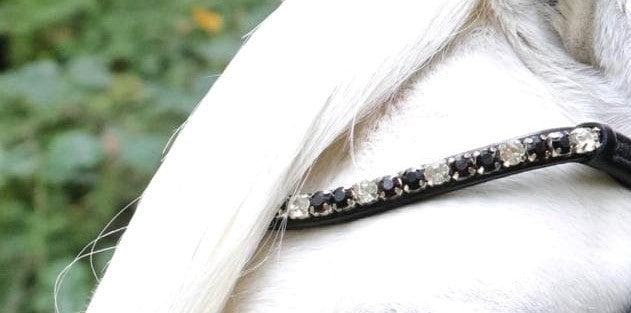 HB - Hoofdstel Showtime 366 Special A-PONY Evalira incl. teugels (div. kleuren)