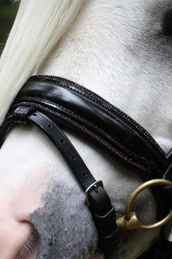 HB - Hoofdstel Showtime 366 Special A-PONY Evalira incl. teugels (div. kleuren)