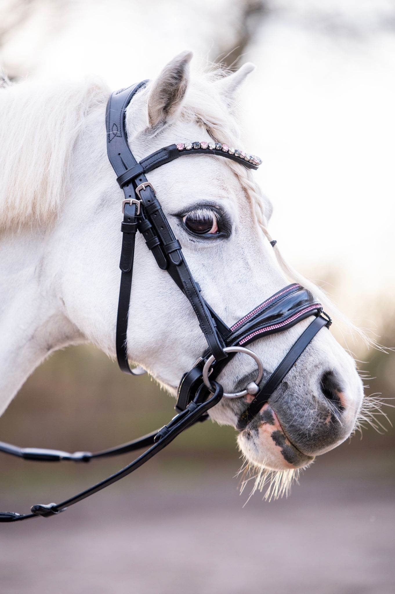 HB - Hoofdstel Showtime 366 Special A-PONY Evalira incl. teugels (div. kleuren)
