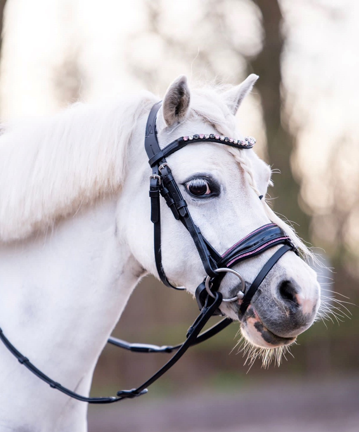HB - Hoofdstel Showtime 366 Special A-PONY Evalira incl. teugels (div. kleuren)