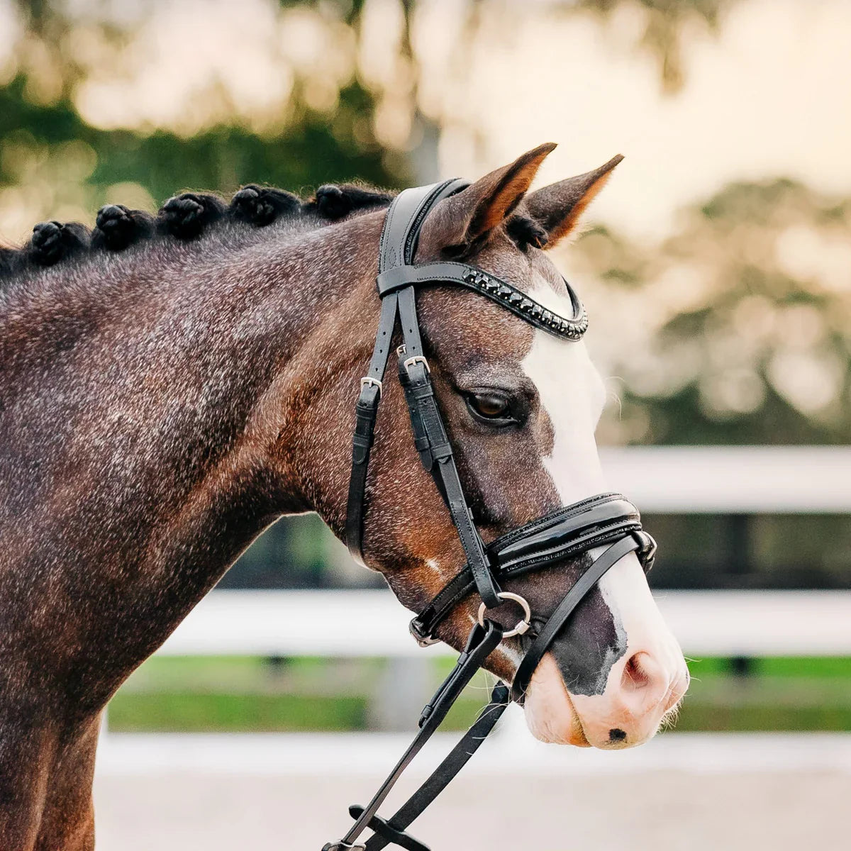 Lumiere/ Lumi Pony - Luxe Hanoverian hoofdstel 'Arcadia'