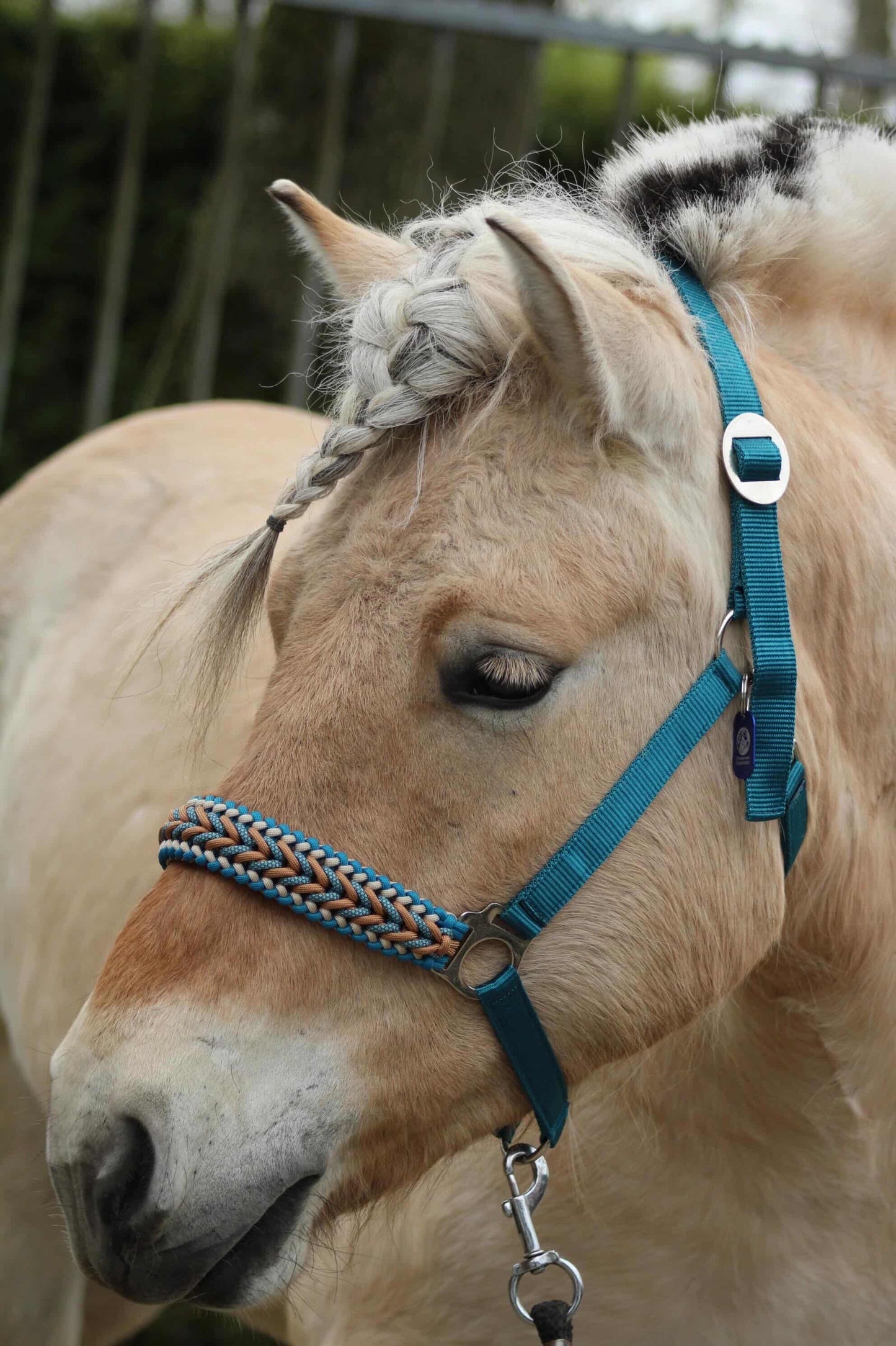 Handgemaakte paardenhalsters - Geknoopt halster ‘Teal Treasure’ emerald/teal/caramel