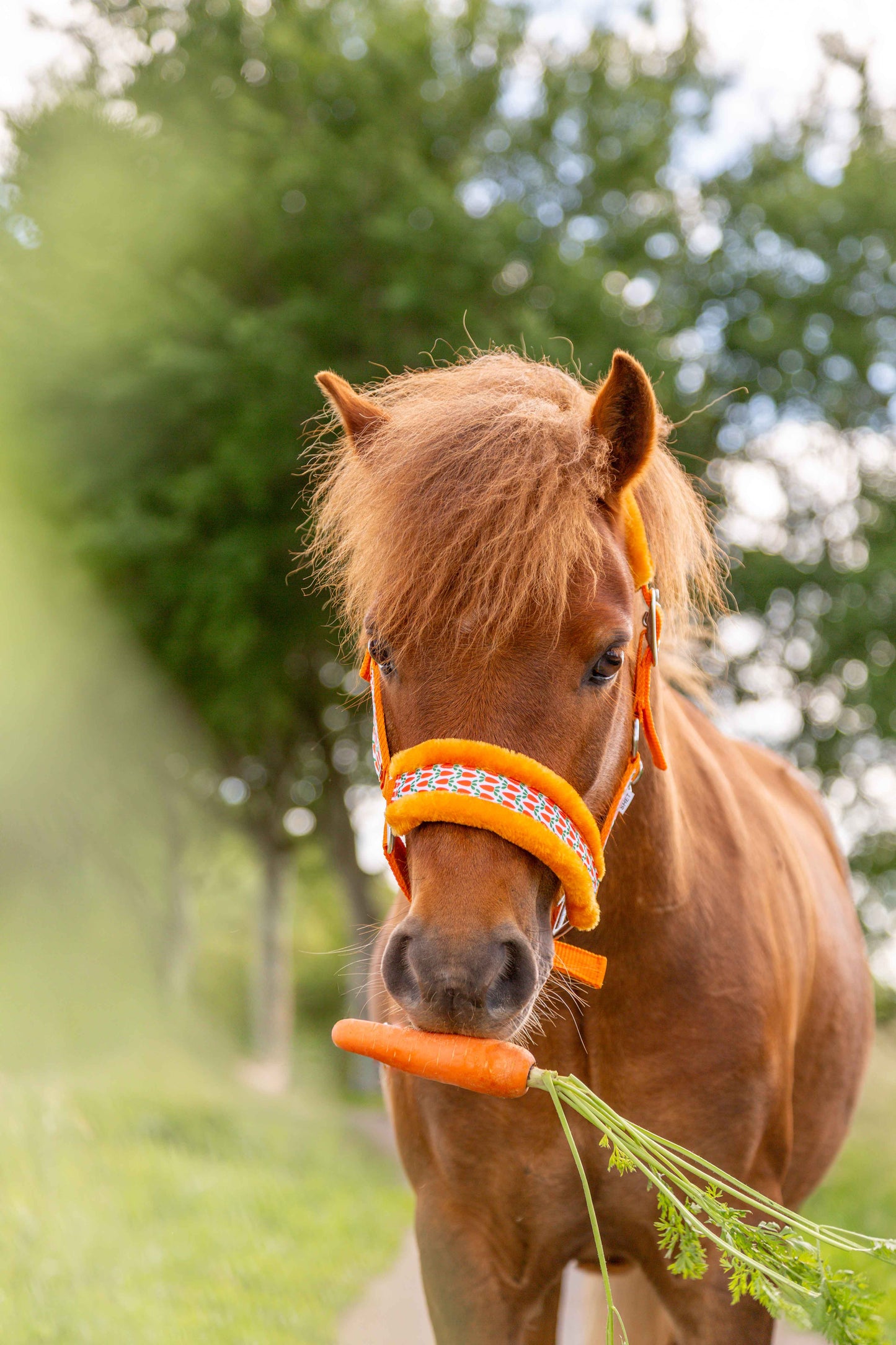 Happy Halsters - Oranje wortel halster (bont)