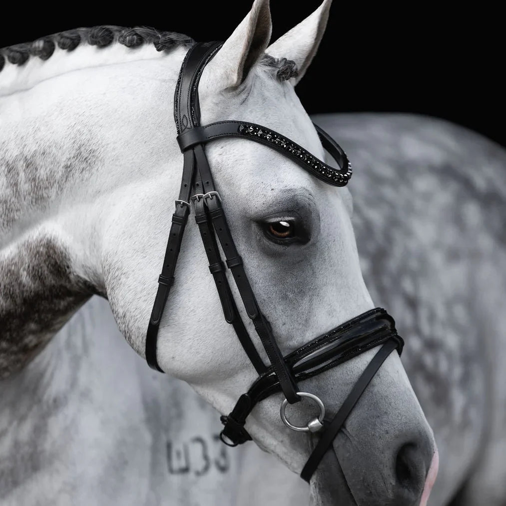 Lumiere/ Lumi Pony - Luxe Hanoverian hoofdstel 'Arcadia'