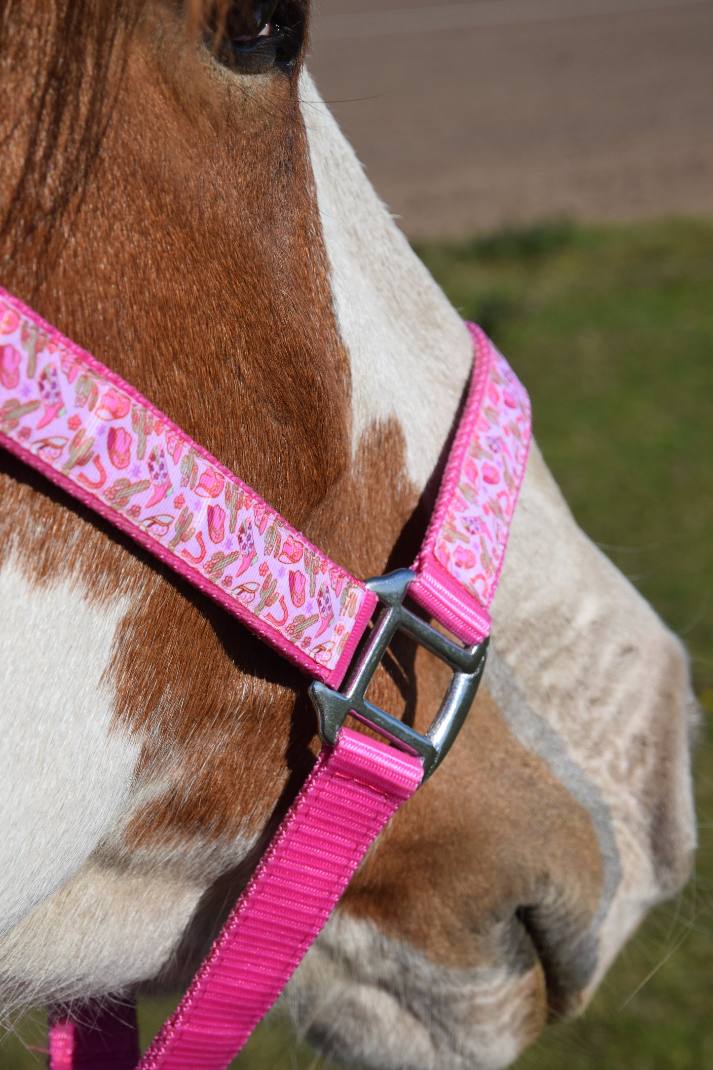Happy Halsters x FMH - Pink Cowgirl Exclusive halster div. kleuren