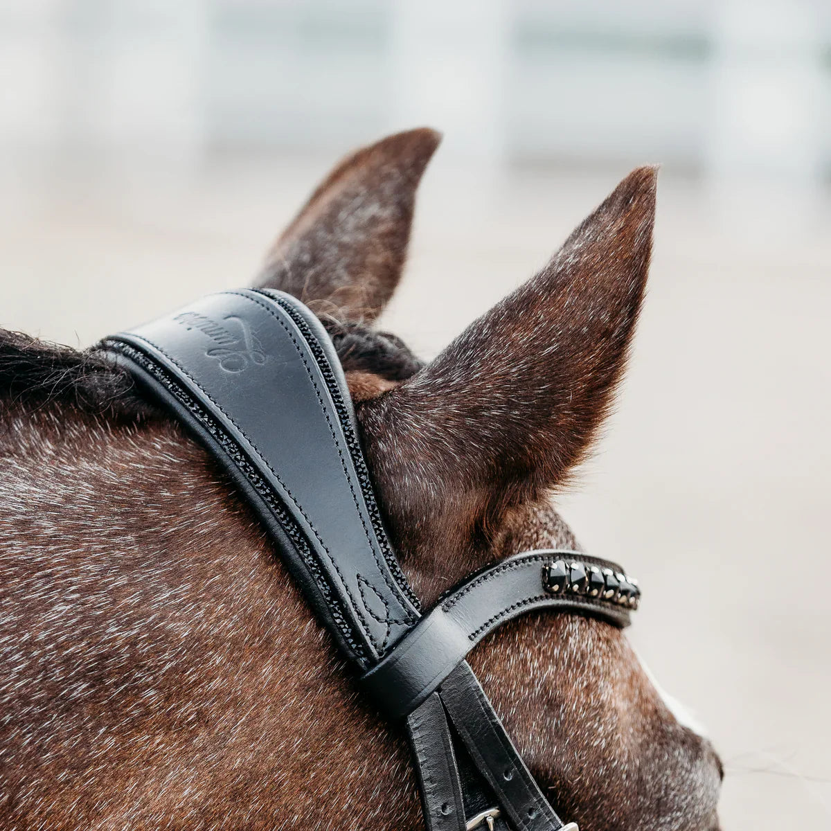 Lumiere/ Lumi Pony - Luxe Hanoverian hoofdstel 'Arcadia'