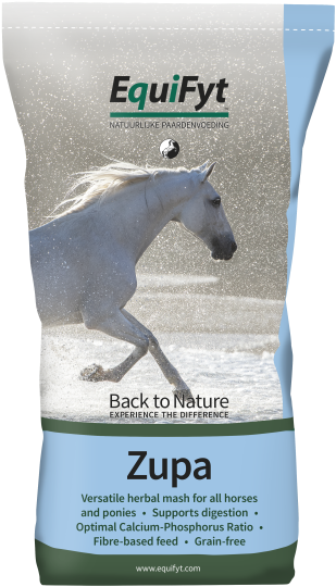 Equifyt | Zupa